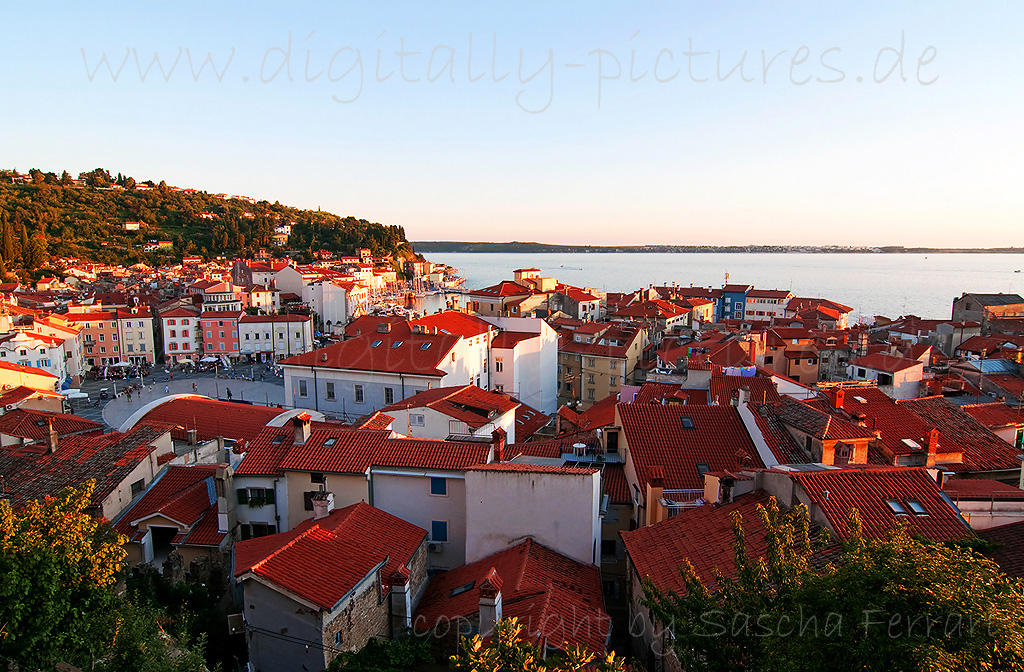 Piran_Piazza_Tartini