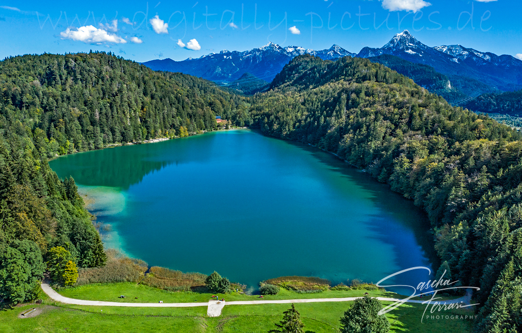 Alatsee