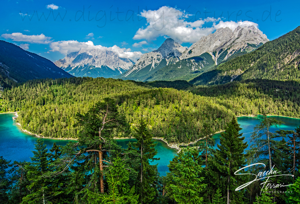Blindsee