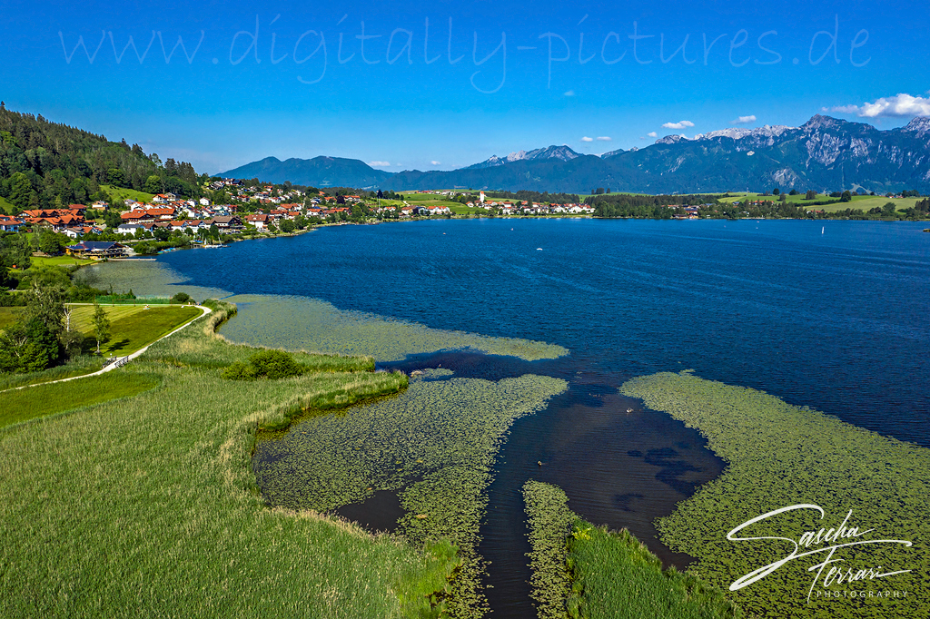 hopfensee fssen