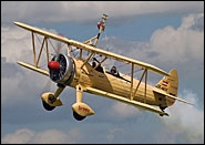 Peggy Krainz Wing Walkers