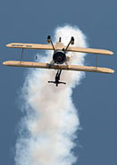 Wing Walkers Peggy Krainz