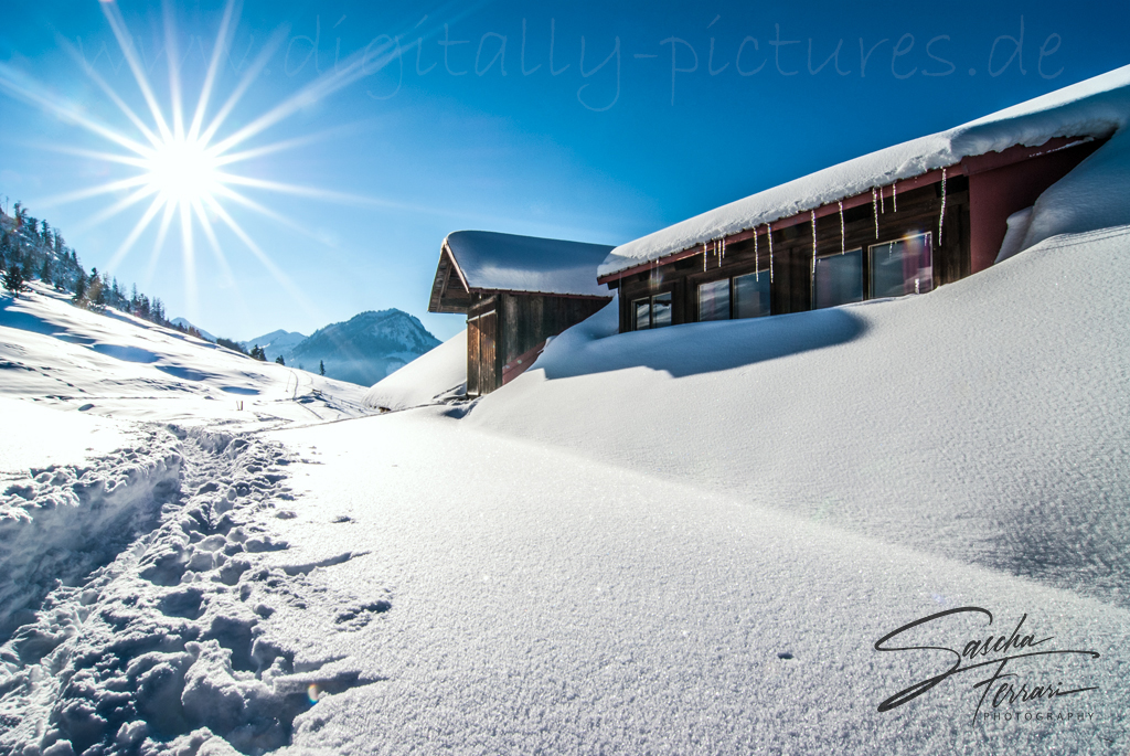 Ochsenalpe Oberjoch