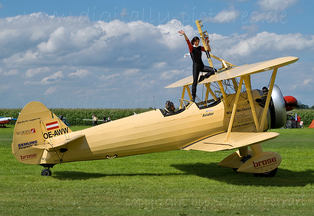 Peggy Krainz Wing Walkers
