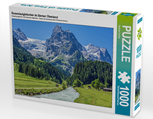 Puzzle Rosenlauigletscher