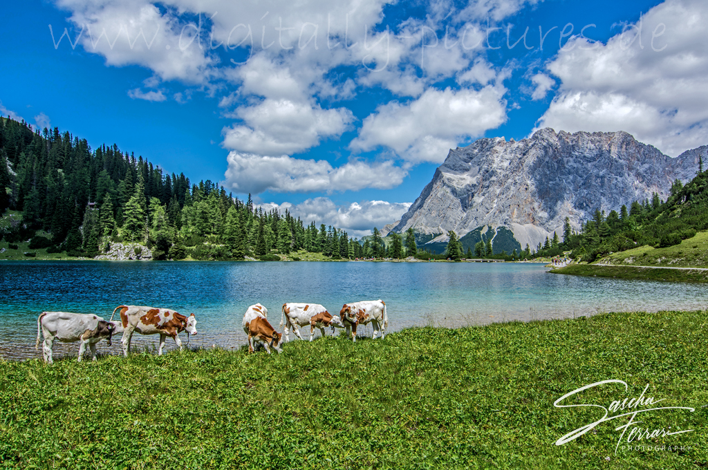 Seebensee