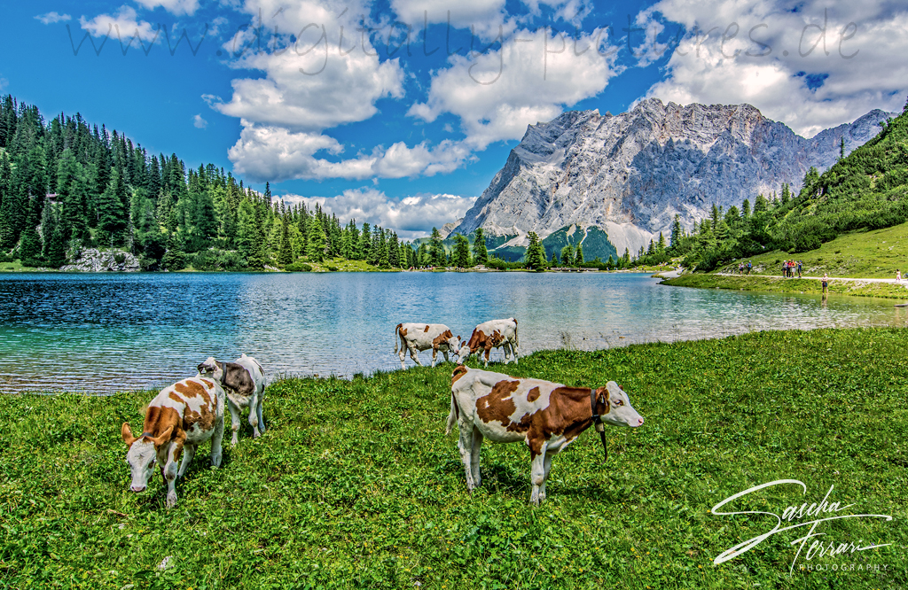 Seebensee