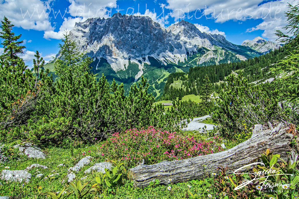 Tiroler Zuspitzarena